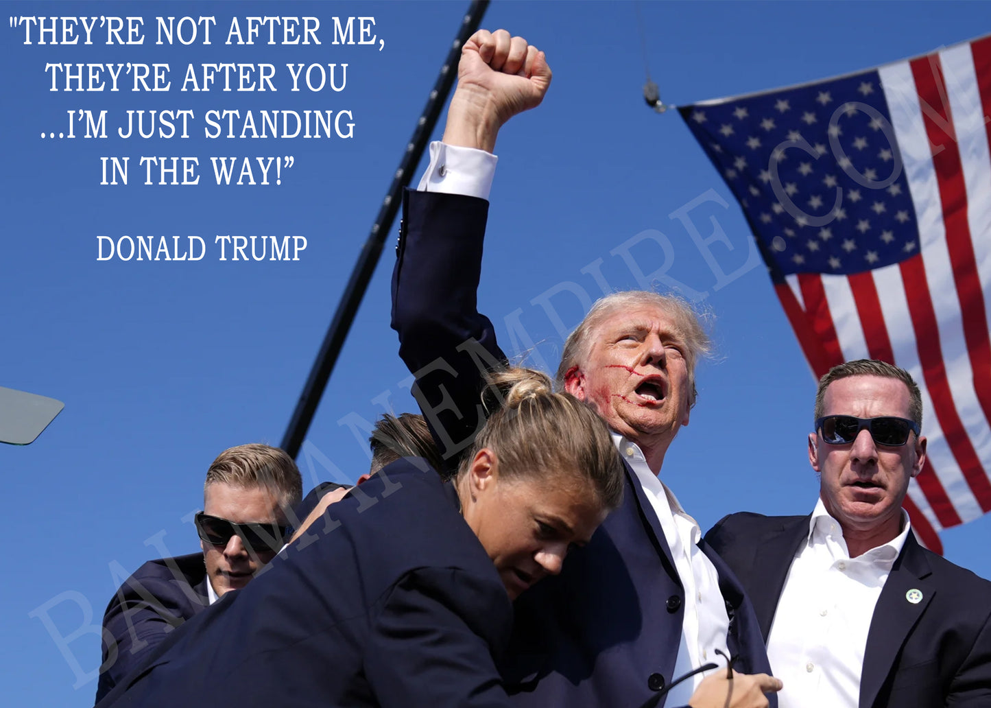 TRUMP POSTER - THEY’RE NOT AFTER ME, THEY’RE AFTER YOU …I’M JUST STANDING IN THE WAY!